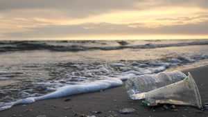 Contaminación marina: sus efectos en la ecología