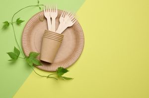 Platos y vasos desechables para comida vegana