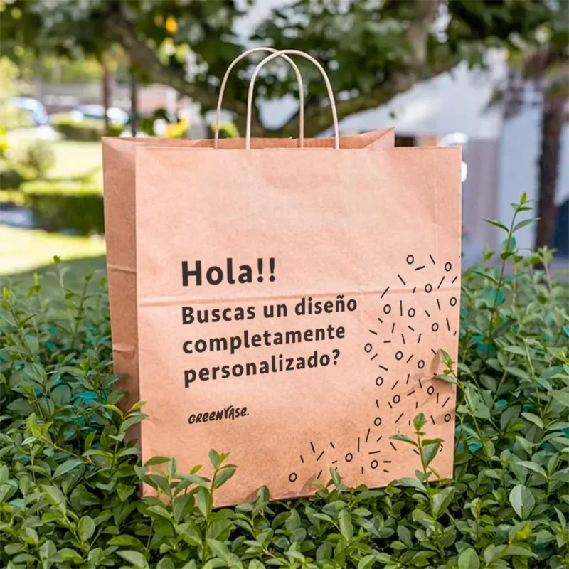 Bolsas con asa 26+14+32cm 2