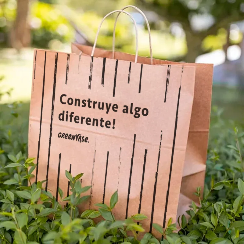 Bolsas con asa 27+16x27cm 3