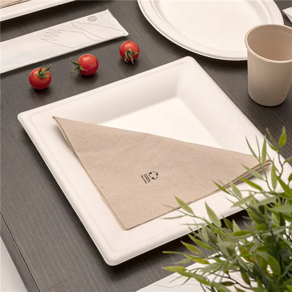 platos-cuadrados-de-bagazo-blanco-bionic-20x20x15cm5