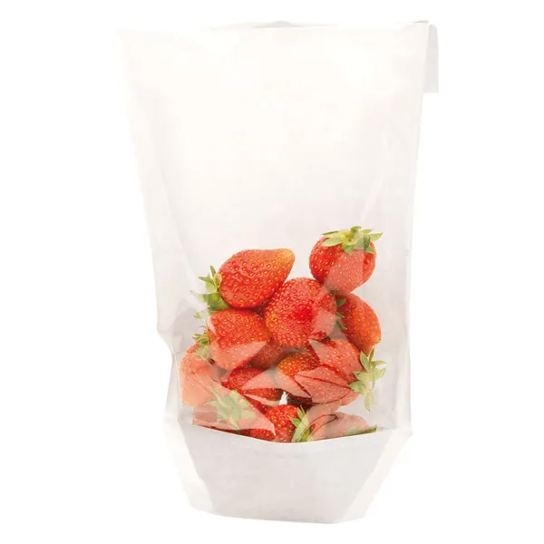 sobres-blancos-con-base-y-ventana-turtle-pack-14x24-21x35-cm1