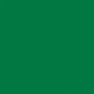 Servilletas 55 g/m2 40×40 cm verde jaguar airlaid