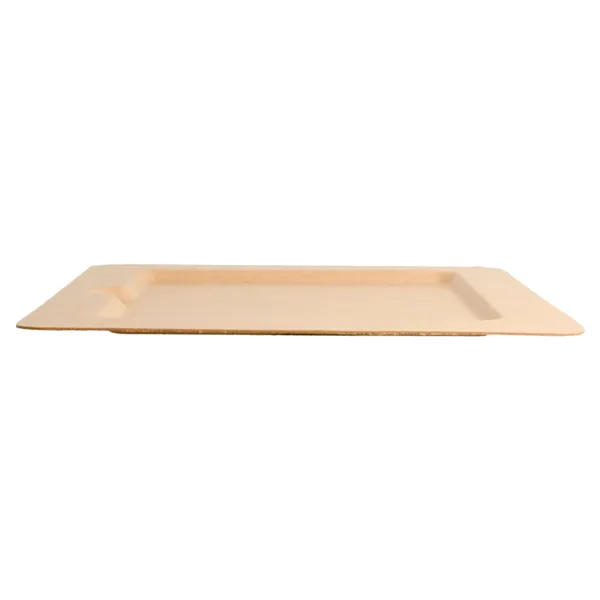 platos-cuadrados-bionic-20x20x1-cm-natural-bagazo3