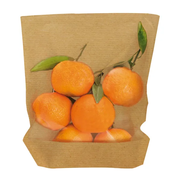 sobres-kraft-con-base-y-ventana-turtle-pack-20x24-21x35-cm1