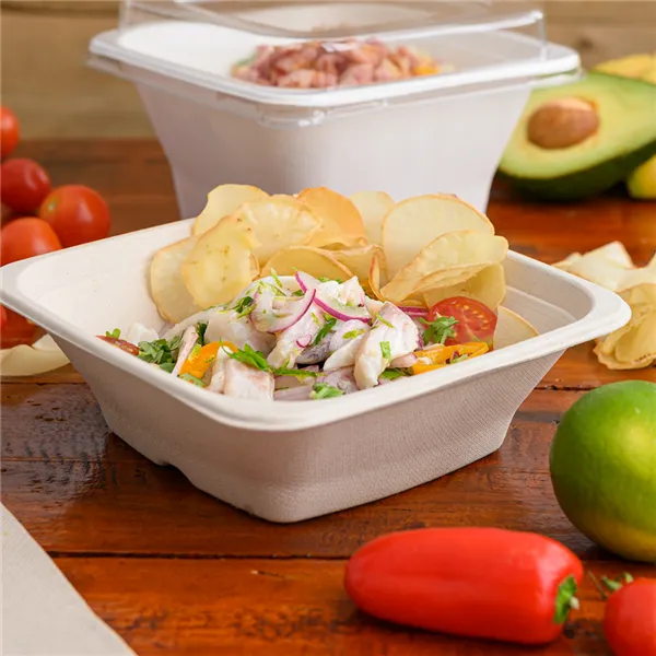 boles-cuadrados-de-bagazo-marron-bionic-700-ml5