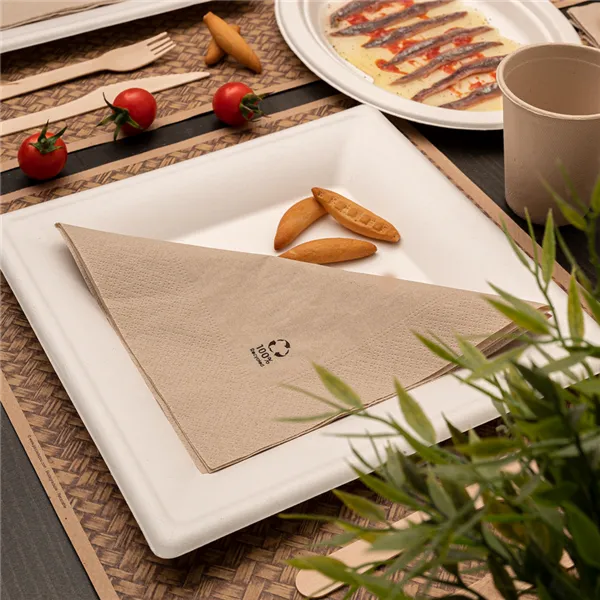 platos-cuadrados-de-bagazo-blanco-bionic-262x262x19cm5
