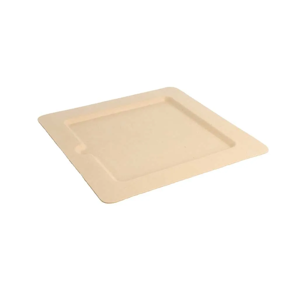 platos-cuadrados-bionic-20x20x1-cm-natural-bagazo1