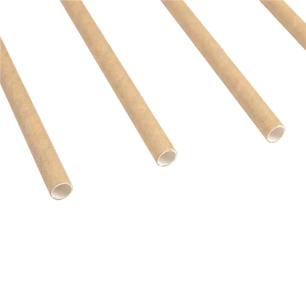 pajitas-enfundadas-o080x20-cm-natural-kraft3