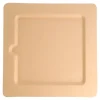 platos-cuadrados-bionic-20x20x1-cm-natural-bagazo2