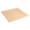 platos-cuadrados-bionic-20x20x1-cm-natural-bagazo4
