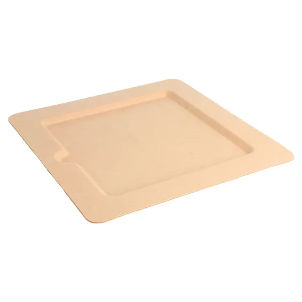 platos-cuadrados-bionic-20x20x1-cm-natural-bagazo4