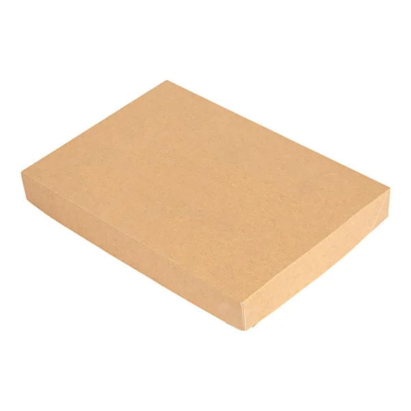 tapas-sin-ventana-para-cajas-254-72-thepack-240-g-m2-15x22x2-cm-natural-carton-ondulado-nano-micro1