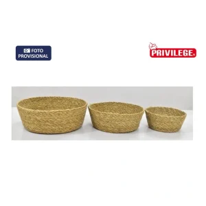 Cesta Conica Mimbre Redonda  Privilege