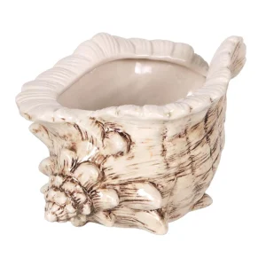 Tiki Caracola 18X12X10Cm 50Cl
