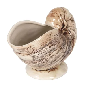 Tiki Nautilus 18X9X13Cm 50Cl