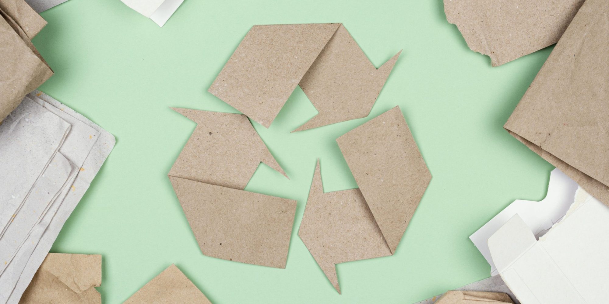 Envase ecológicos para alimentos