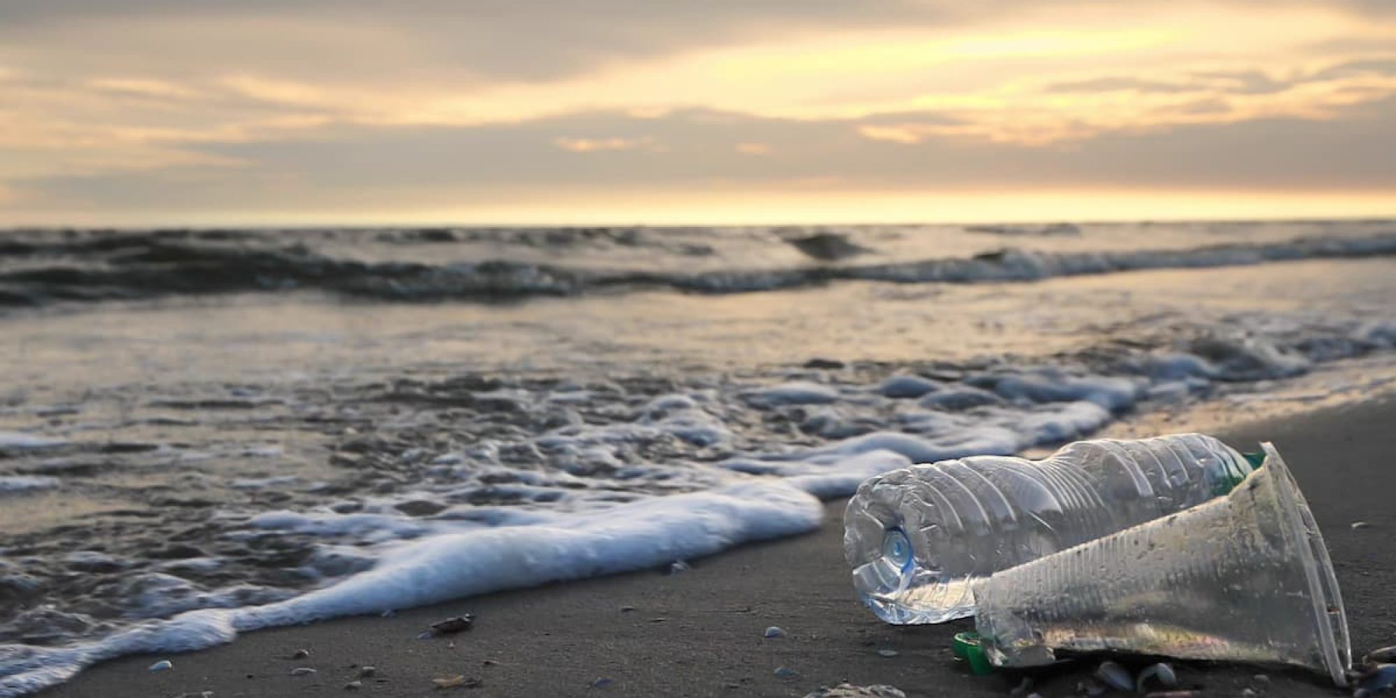 Contaminación marina: sus efectos en la ecología