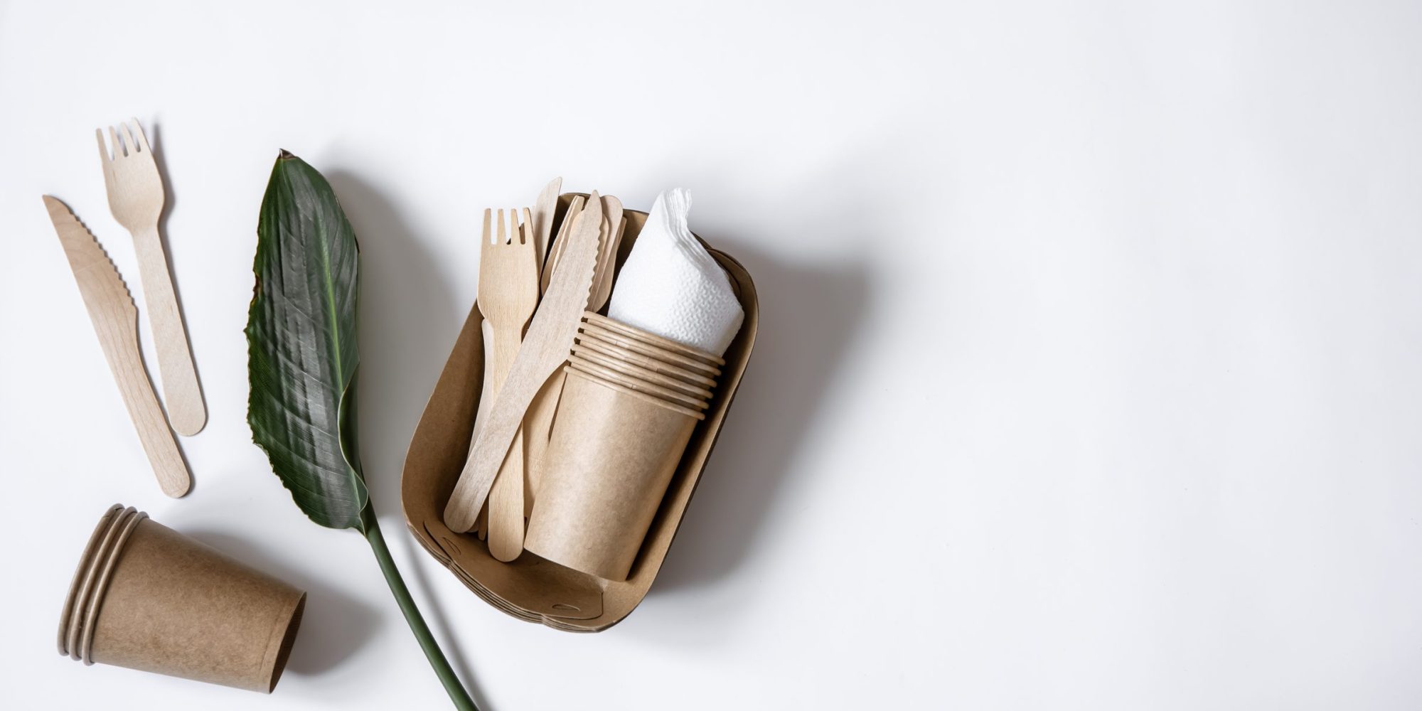 Envases Biodegradables para Alimentos