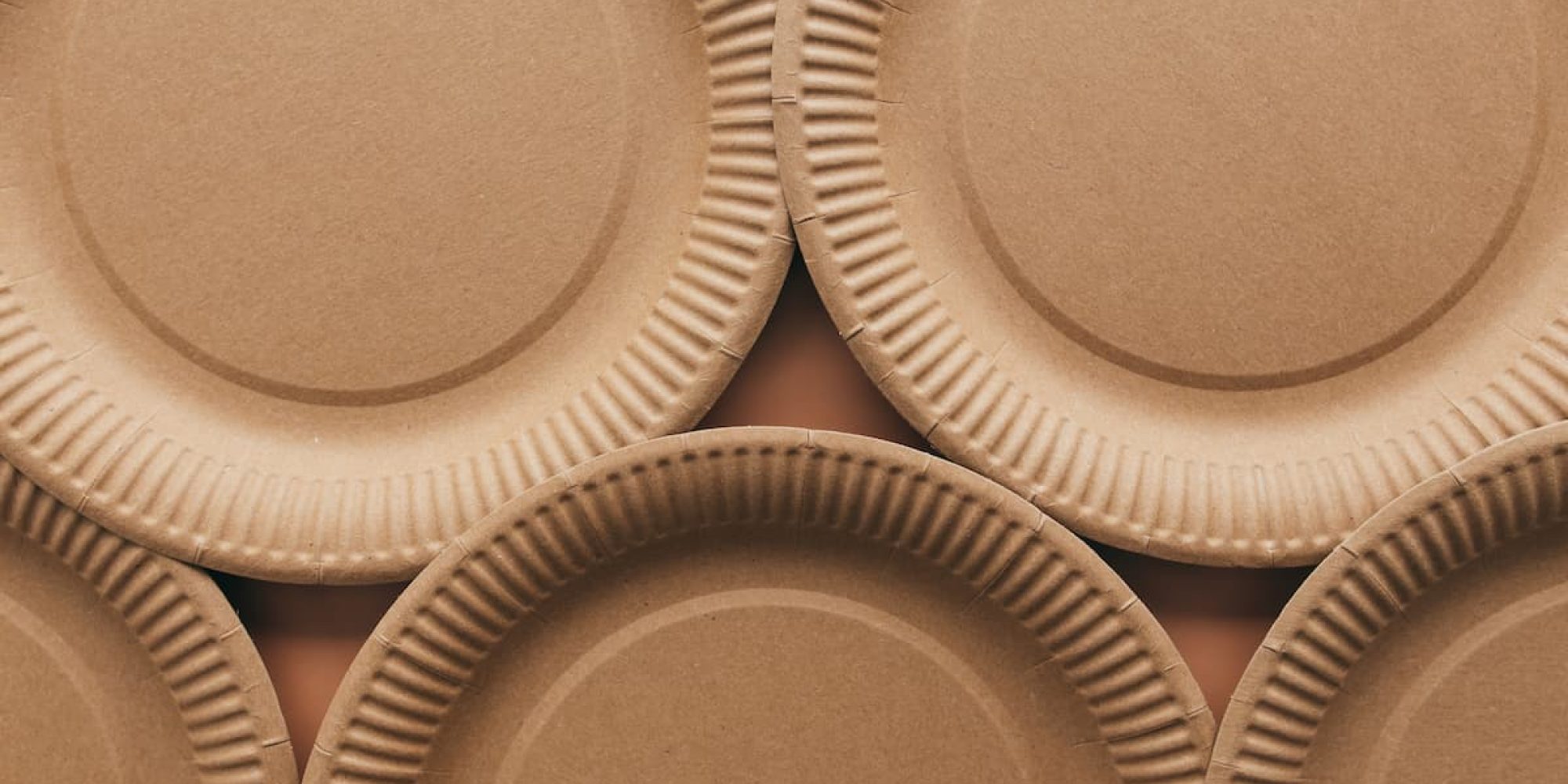 Platos desechables ecológicos