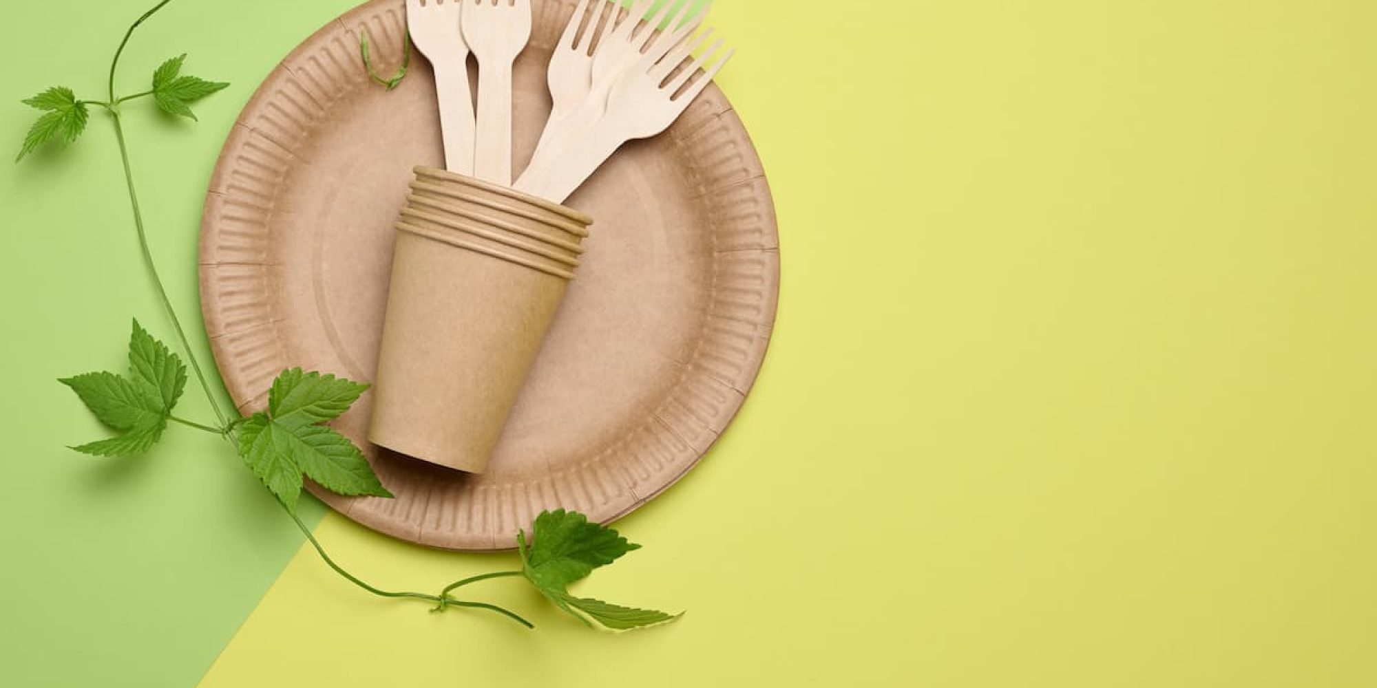 Platos y vasos desechables para comida vegana